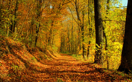1714794 (a): :2560x1600